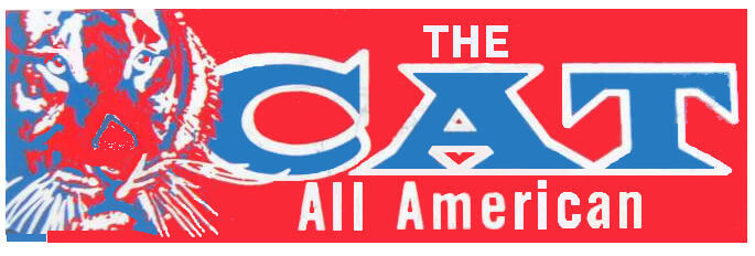 (image for) CAT motorbike sticker (All America)